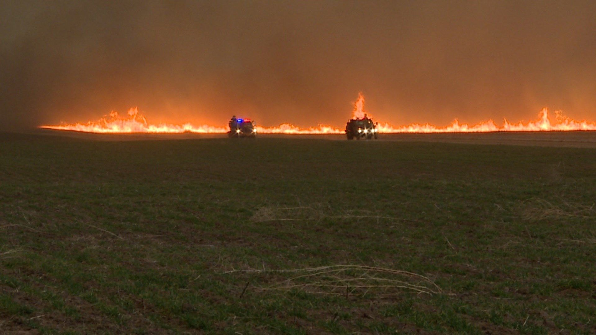 Wichita, Kansas News, Weather, Sports Residents flee grass
