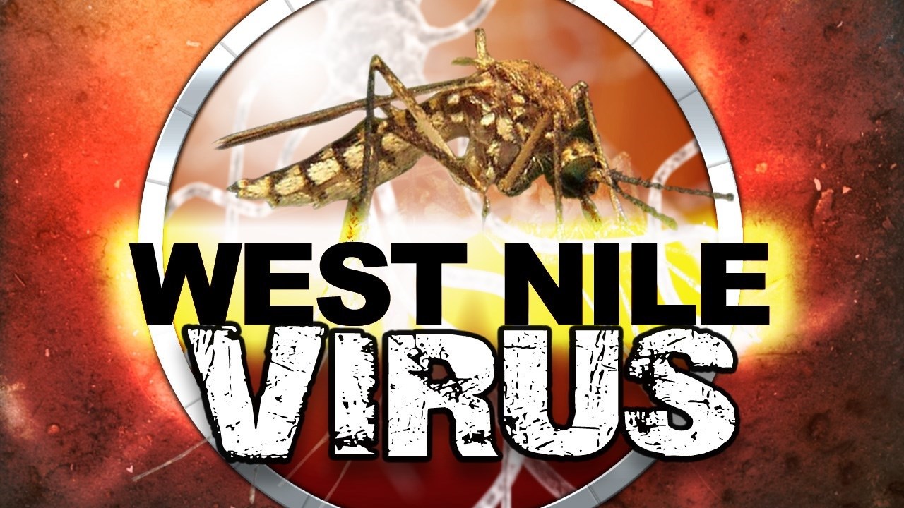 All of Kansas at high risk for West Nile virus - KAKE thumbnail