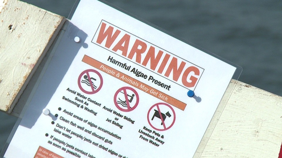 Blue Green Algae Watches Issued For 6 Bodies Of Water In Kansas Kake