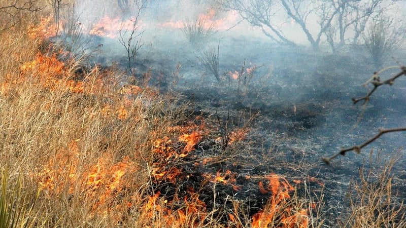 Grass fires rage in two Kansas counties