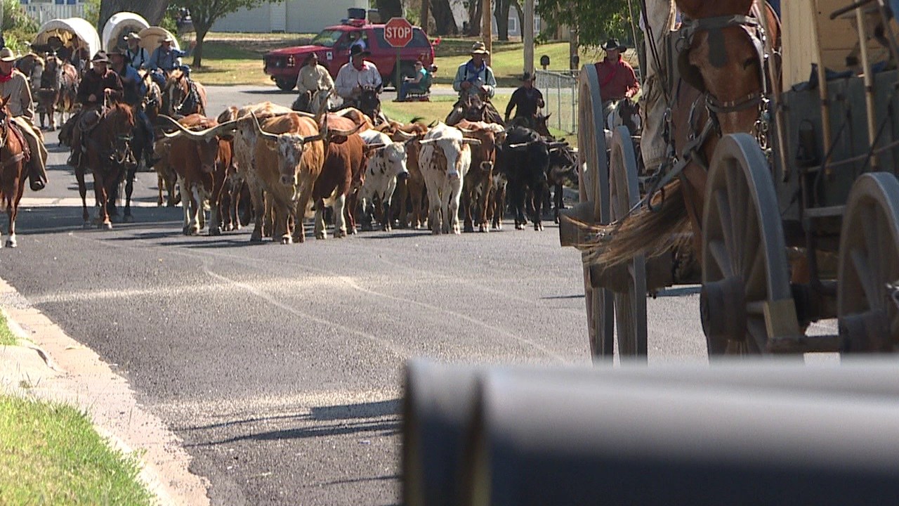 Modern day cattle drive commemorates 150 years of the Chisholm T