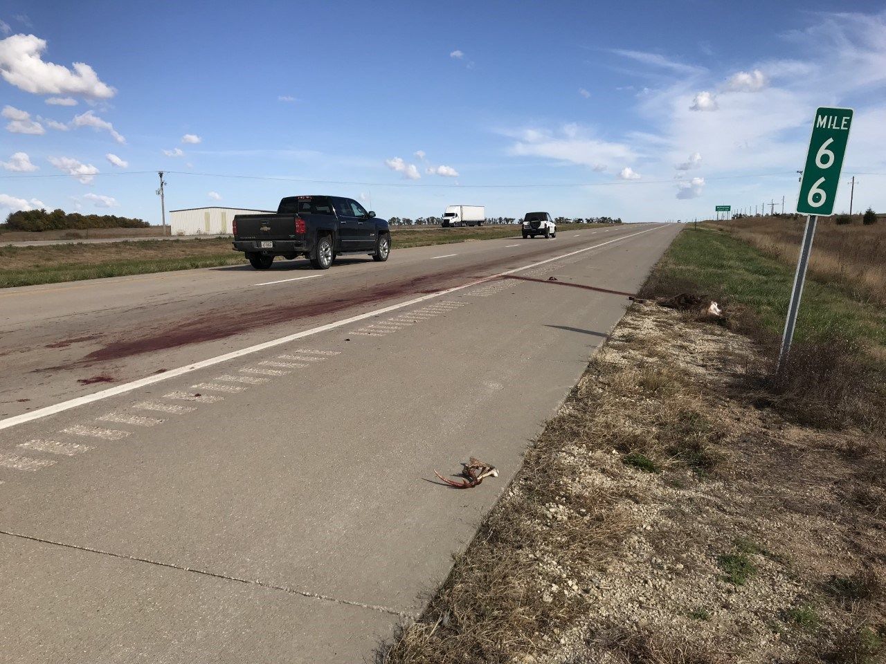 Deputy Don't leave scene of deercar accident