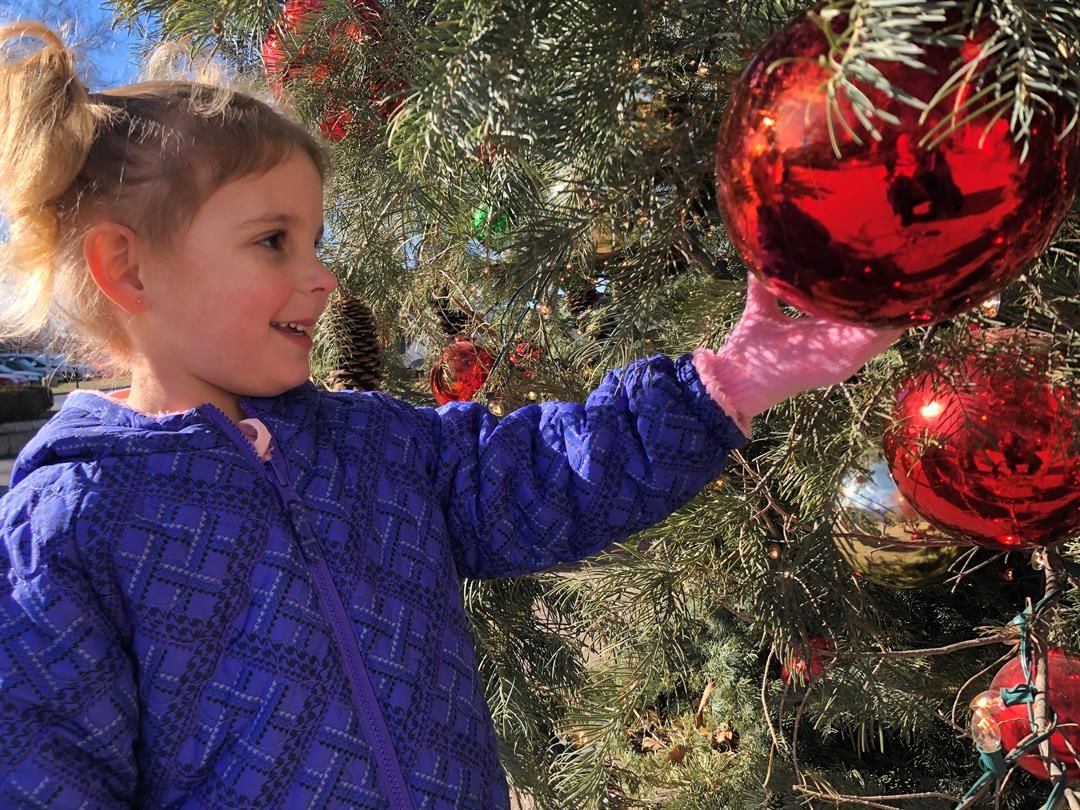 Christmas Tree Shopping Tips Kake