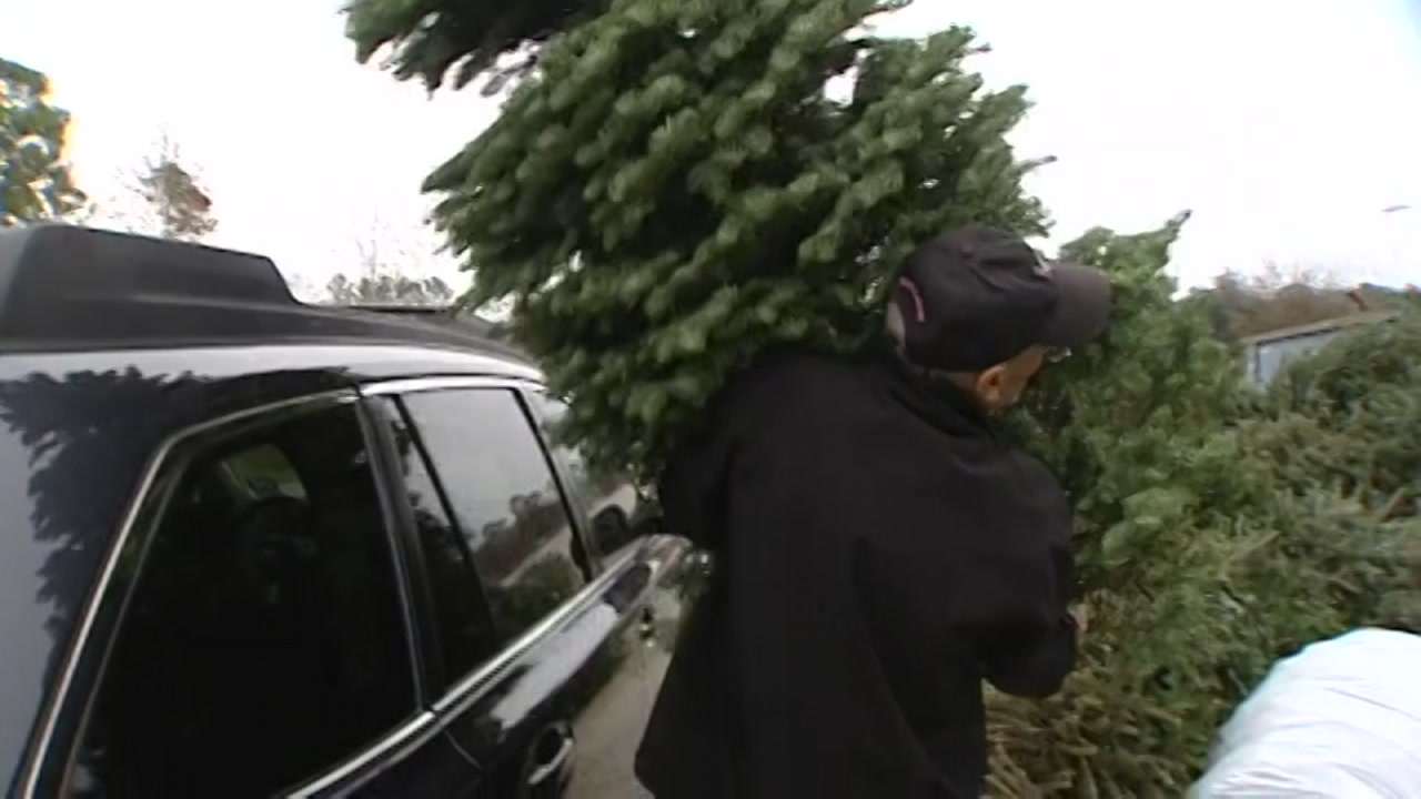 Sedgwick County Christmas Tree Recycling Kake