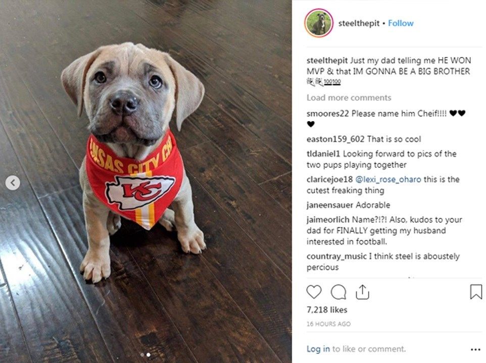 Chiefs QB Patrick Mahomes shows off adorable new puppy