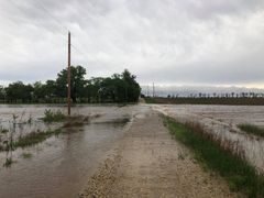 1%20Kelsea%20Abney%20Doyle%20Creek%20Peabody%2C%20KS