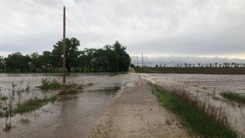 1%20Kelsea%20Abney%20Doyle%20Creek%20Peabody%2C%20KS