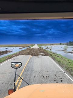 Allie%20Vaught%20Rosalia