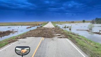 Allie%20Vaught%20Rosalia