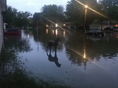 Skylar%20Seals%20Augusta%201