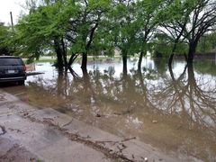 Skylar%20Seals%20Augusta%202