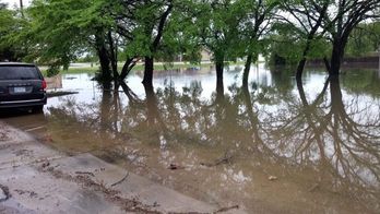 Skylar%20Seals%20Augusta%202