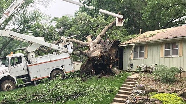 Kansas woman killed when huge tree falls on house