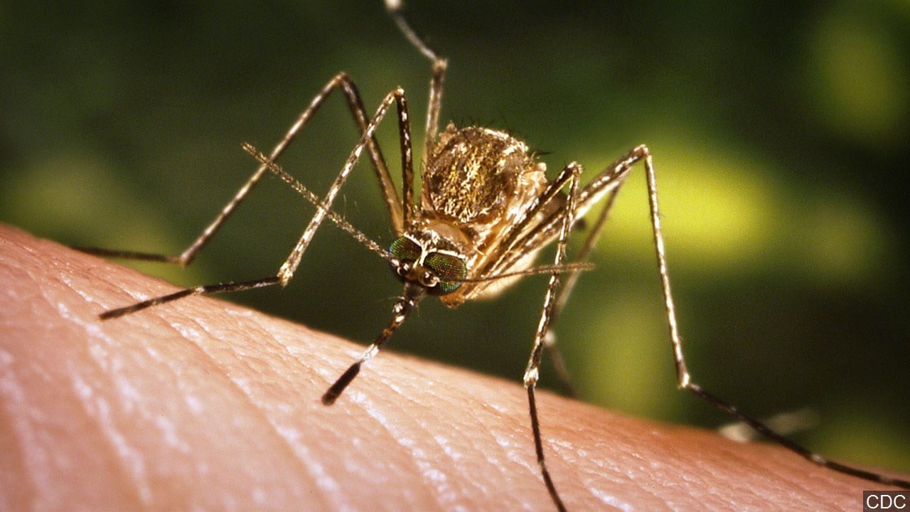 Most Of Kansas At High Risk For West Nile Virus