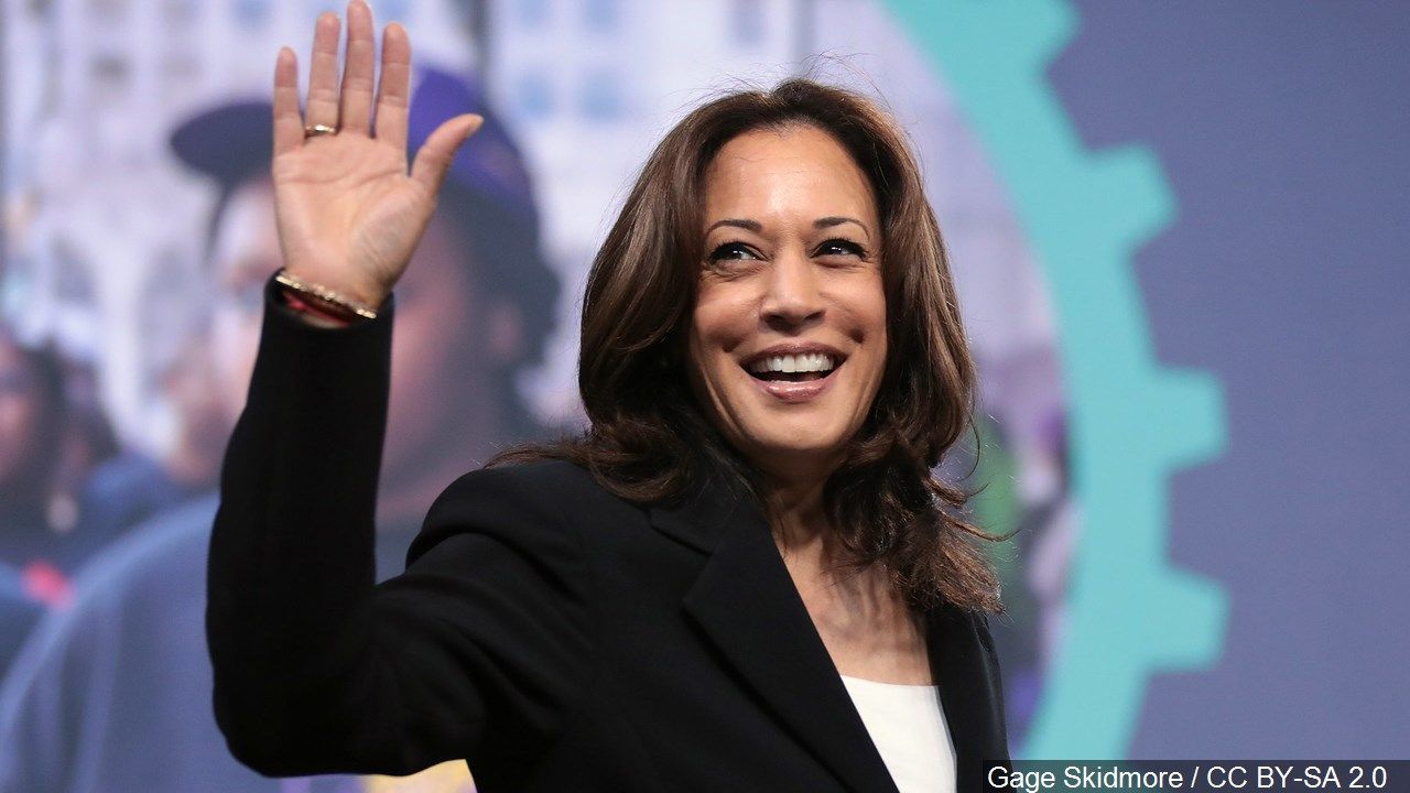 State Operations Manager For Kamala Harris Steps Down Citing Lo Kake State Operations Manager For Kamala Harris Steps Down Citing Lo Kake