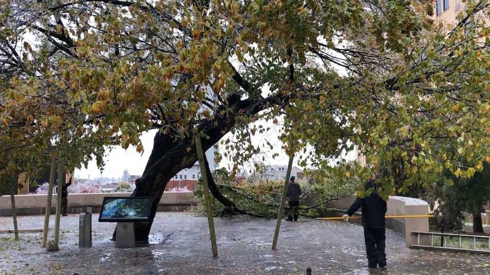 Icy Weather Causes Massive Power Outages In Oklahoma Kake