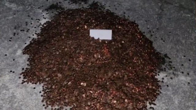 Mound Of Pennies Dumped In Man S Driveway He Blames Feud Over F Kake