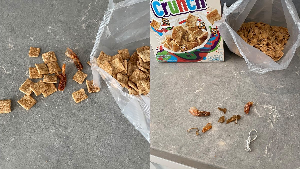 cinnamon shrimp toast crunch