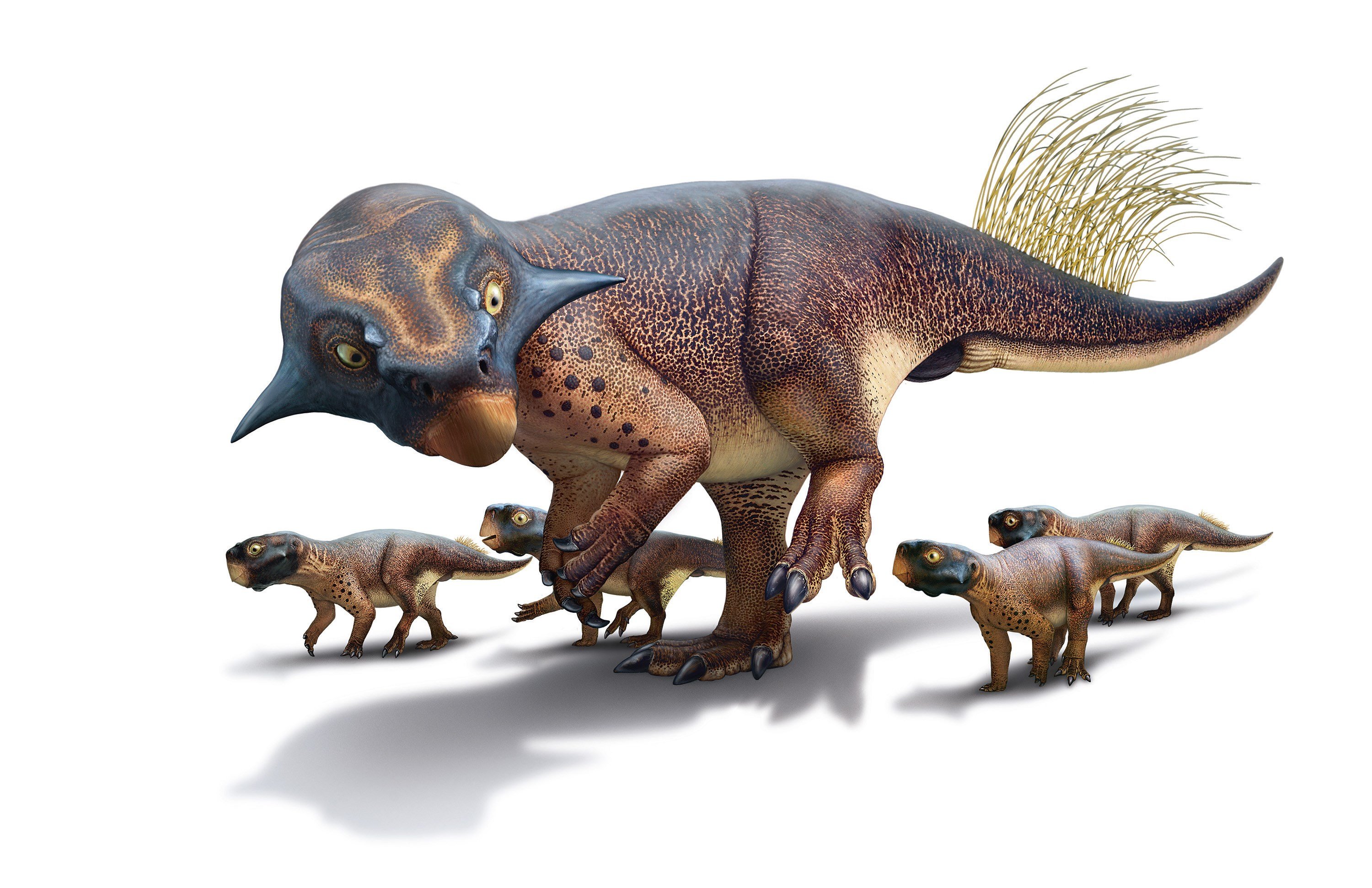 Stunning paleoart shows what dinosaurs really looked like - KAKE