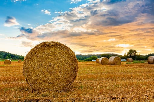 9-Year-Old Seriously Injured After Getting Trapped Under Hay Bale