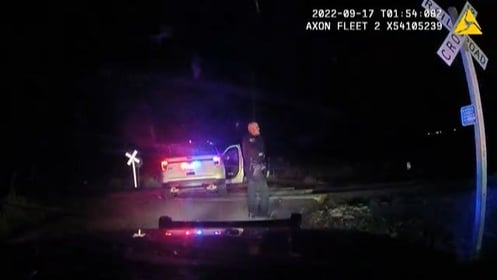Police cruiser with woman inside hit by train