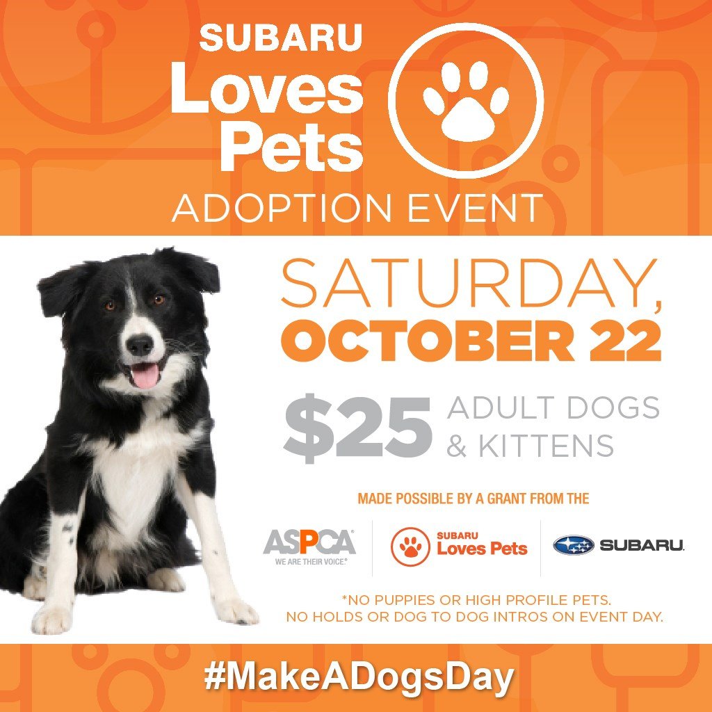 subaru loves pets adoption event