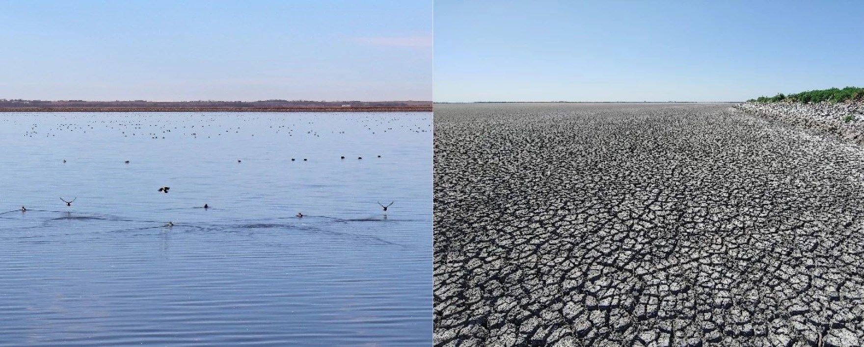 Up to 1 million birds count on Kansas wetlands during migration