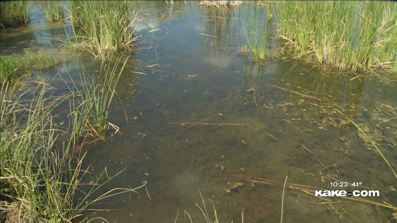 State representatives discuss Kansas water crisis KAKE