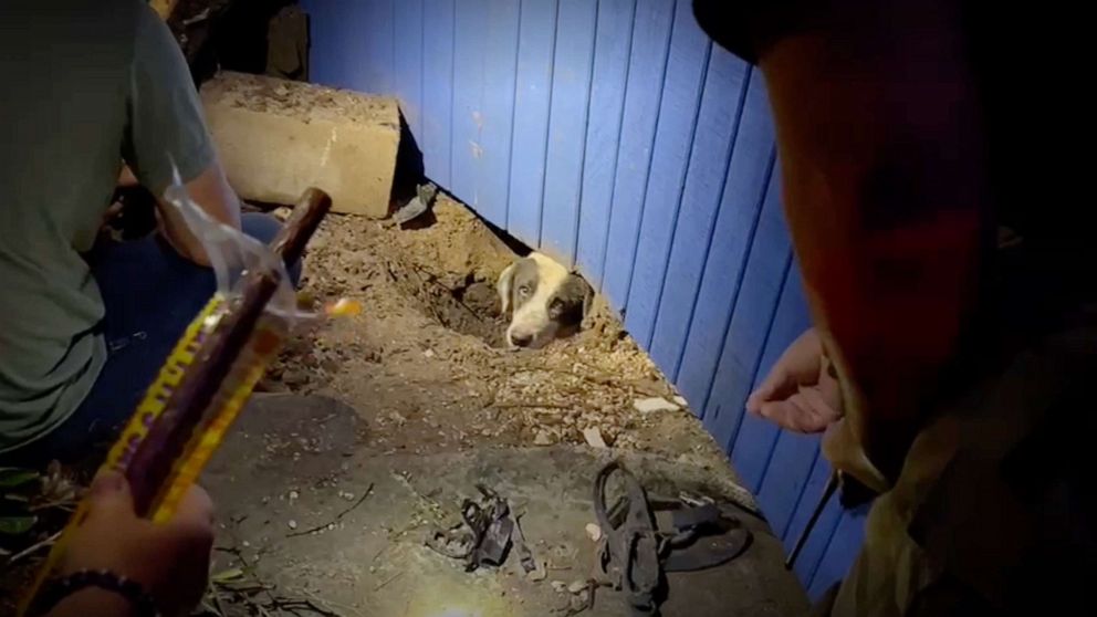 ABC News sound technician Jim Gower grabbed a nearby shovel and started digging out a dog trapped under a damaged home on May 14, 2023, following an apparent tornado touched down in Laguna Heights, Texas.