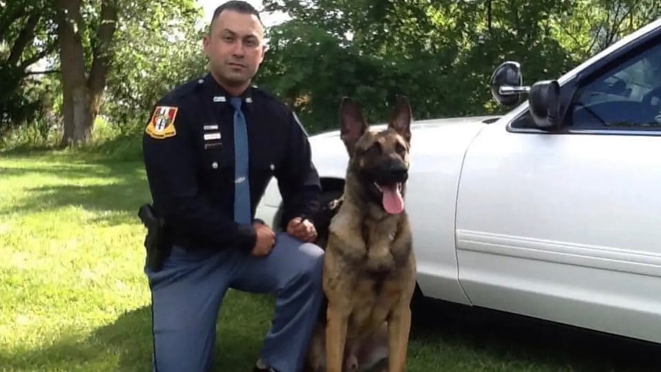 Police K-9 fatally shot during foot pursuit in Indiana - KAKE