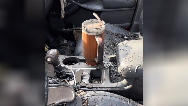 Woman's Stanley tumbler survived a car fire - Now the company is giving her  free cups and a new ride