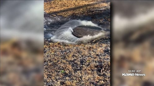 Four Mile Creek positive for E. coli