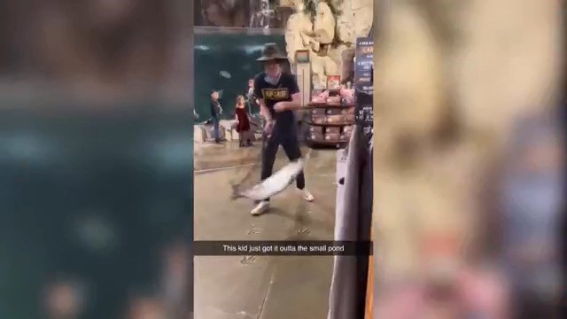 Man 'Catches,' Steals Live Tarpon From Bass Pro Shops