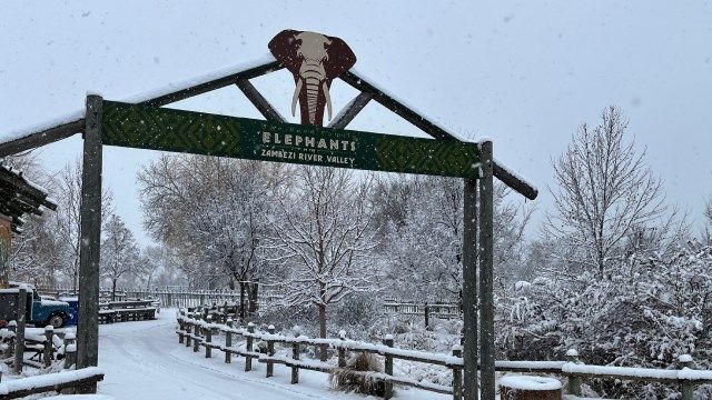 Local zoos closing due to weather KAKE